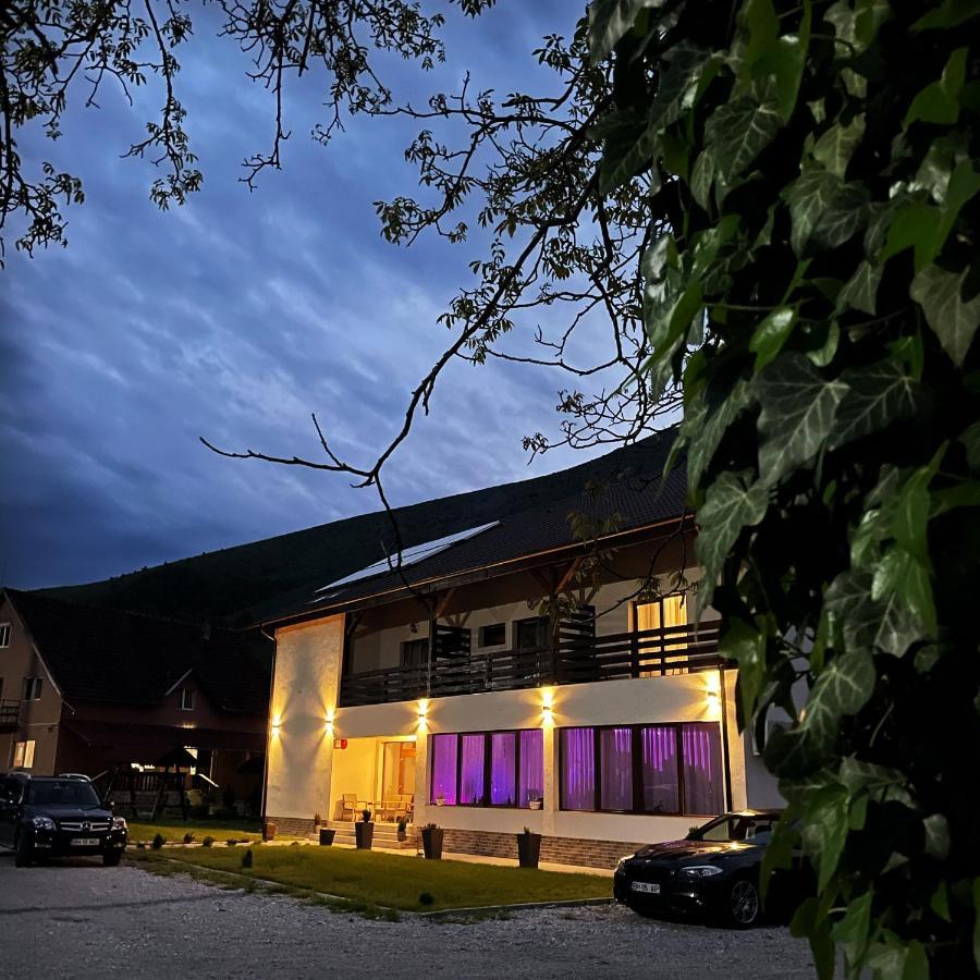 Pensiunea An De An Remeţi Dış mekan fotoğraf